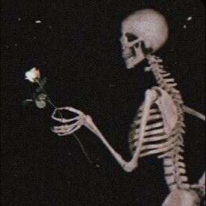 Meet your Posher, Your